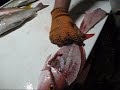 Fillet a fish Fillet a fish