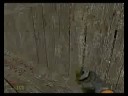 Half-Life 2 Deathmatch Gameplay
