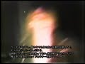Hollywood Rose Hollywood Rose