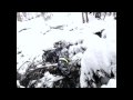 Stream Jump