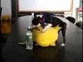Dogs love picachu