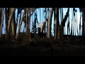 Trailer: 
