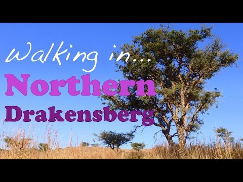 VIDEO: Walking in Rural Drakensberg