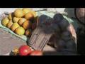 Zimbabwe pensioners struggle with inflation 15 Apr 2008