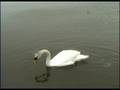 Crabbing In Cleethorpes