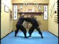 Kihon Happ� 7 - Musha dori