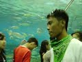 THE MANILA OCEAN PARK