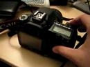 Canon 40D vs Canon 350D