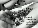 Aun te amo -- Kudai