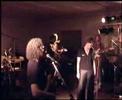 The Sonic Siskin - You Don\