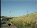 Camino paralelo a carretera CM-412 en la parte interna del pueblo (de Camino hacia molinos de Cerro de San Blas a Calle del General Margallo)