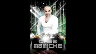 Cheb MaMiChe Live Au Mer Et Soliel 2013 ( Chokitni Ya Galbi Chokitni )