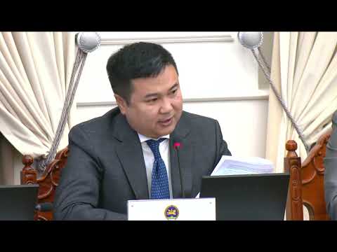 П.Сайнзориг: Шалтгаан гэдэг үгийг үндэслэл үгэээр солих редакцийн саналтай байна