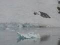 videos de Antartica 2: antartic peninsula (ANT-2)