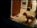 VID_00002-20091216-2120.avi
