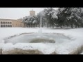 Natale 2009, Ravenna sotto la neve