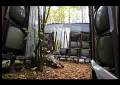 videos de televice