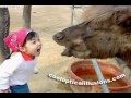 funny and wierd animals