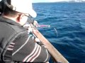 Bodrum Güvercinlik Balık Turu PAŞA KIZI TEKNE TURLARI 0541 850 43 06