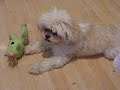 Molly playing Molly playing