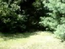 Airsoft Fort and The Battle Field Airsoft Fort and The Battle Field