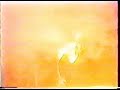 Video screenshot