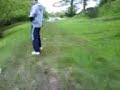 SHEEP RUN !!! SHEEP RUN !!!