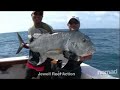GT's and Black Marlin