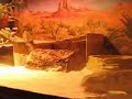Sparty the bearded dragon in Slow Motion Sparty the bearded dragon in Slow Motion