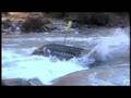 videos de Surfing Hungry Mother - Gauley 2008