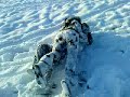 durchqeknallte lache :P im Schneee