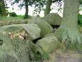 videos de megalithgrab - Hügelgrabanlage aus der Bronzezeit - Rügen