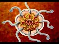 Kunstformen der Natur White Dub Excerpt
