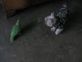 animales graciosos