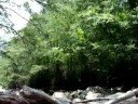 The Chimneys Picnic Area in the Great Smoky Mtns.