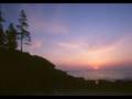 The Verve-Appalachian Springs