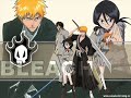 Had Enought Bleach style