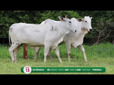 LEILO VIRTUAL FMEAS AGROPECURIA RIBEIRPOLIS