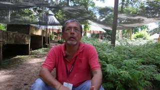 Capacitando a los campesinos para conservar la Amazonía