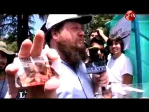 Estupideces en la Televisión – ExpoWeed