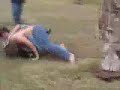 funny video of idiots hurting themselves