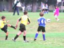 Wolfpack 2009 Fall