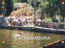 EXTREMADURA : \" Vistas extremeñas \" 2/2 EXTREMADURA : \" Vistas extremeñas \" 2/2
