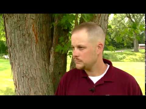 how to treat fungus on japanese maple