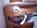 Black Label Society - Graveyard Diciples.mpg