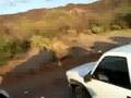 videos de Soyopa - en las carreras