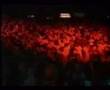 Rave Phantasy Reigate News Clip