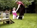 Chiots Bergers Australiens 6 sem Chiots Bergers Australiens 6 sem