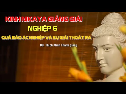 Kinh NIKAYA Giảng Giải – Nghiệp 6 – Quả Báo Ác Nghiệp Và Sự Giải Thoát Ra