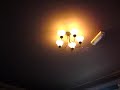 YORK PUB BROOMHILL SHEFFIELD REFURB